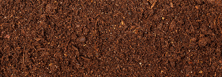 Peat Moss