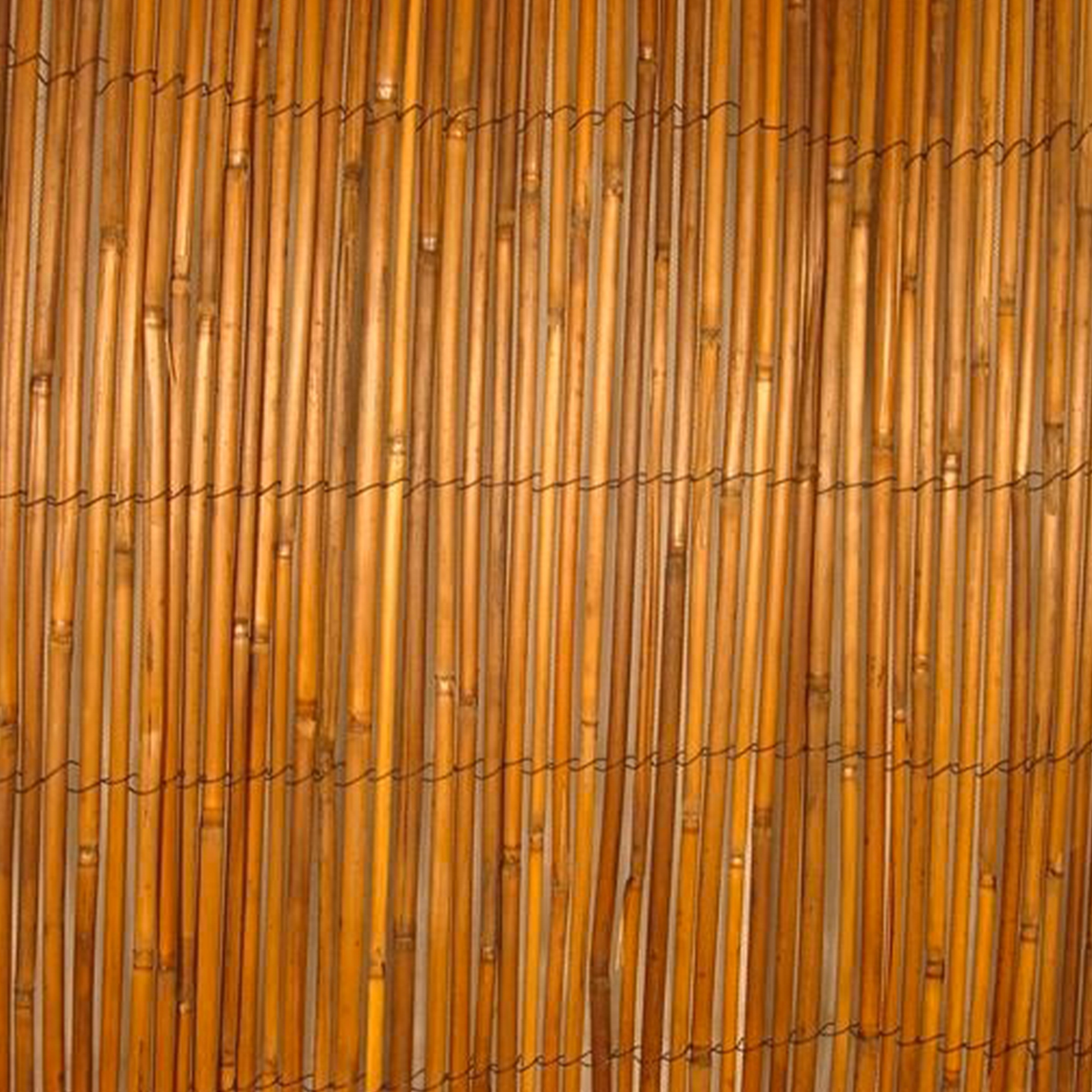 Eden 1.8 x 3m Java Reed Screen