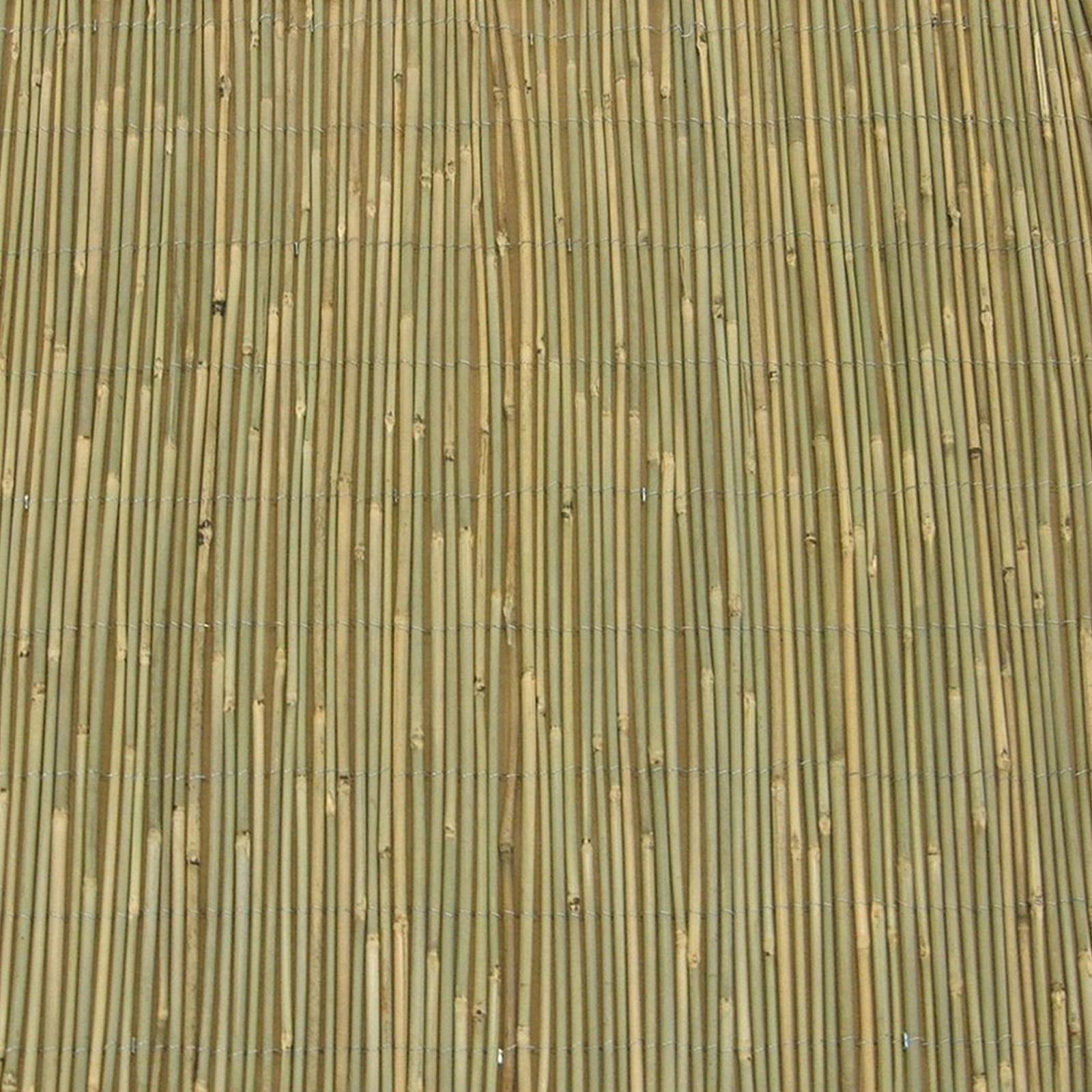 Eden 1 x 3m Natural Bamboo Screen