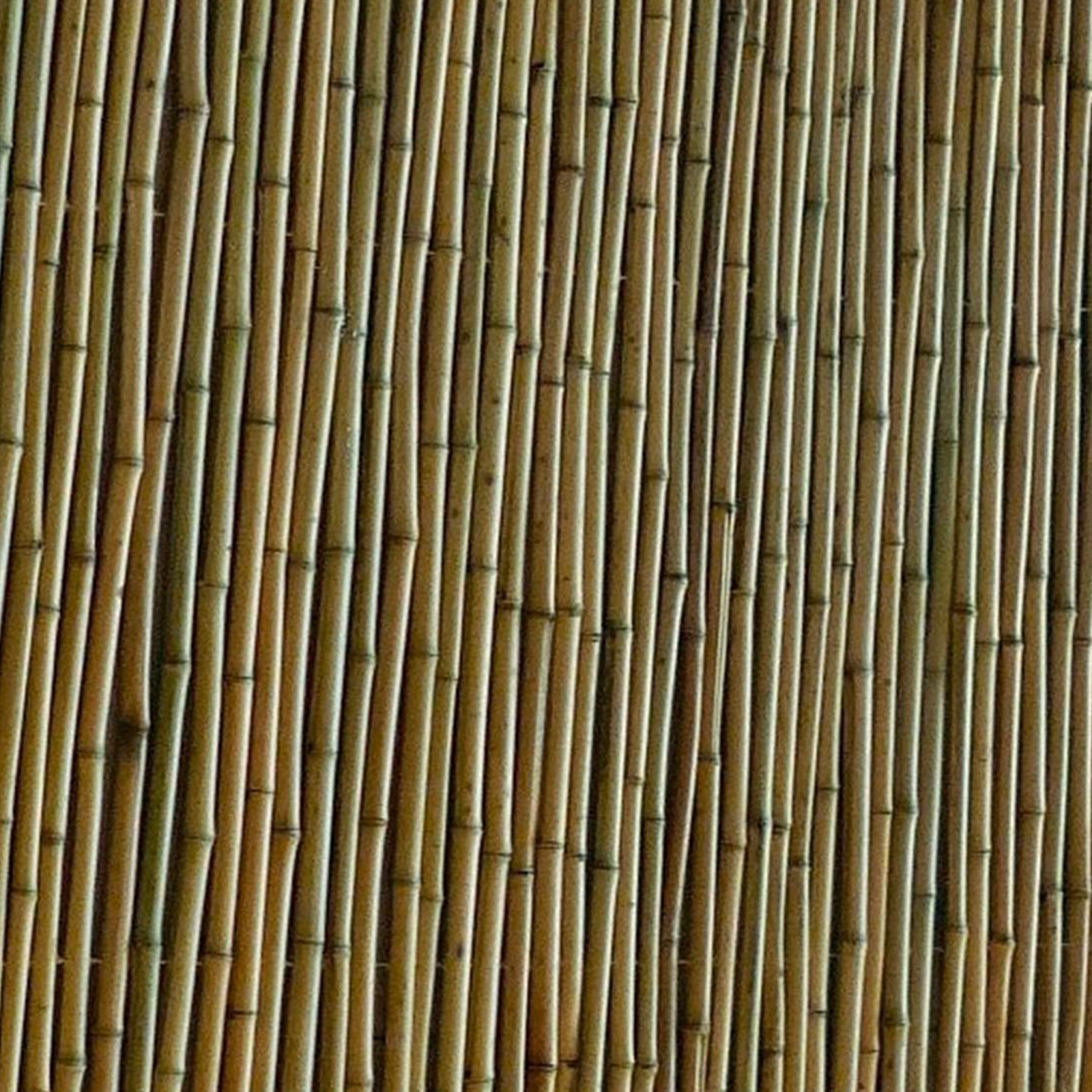 Eden 1.8 x 1.5m Natural Bamboo Premium Screen